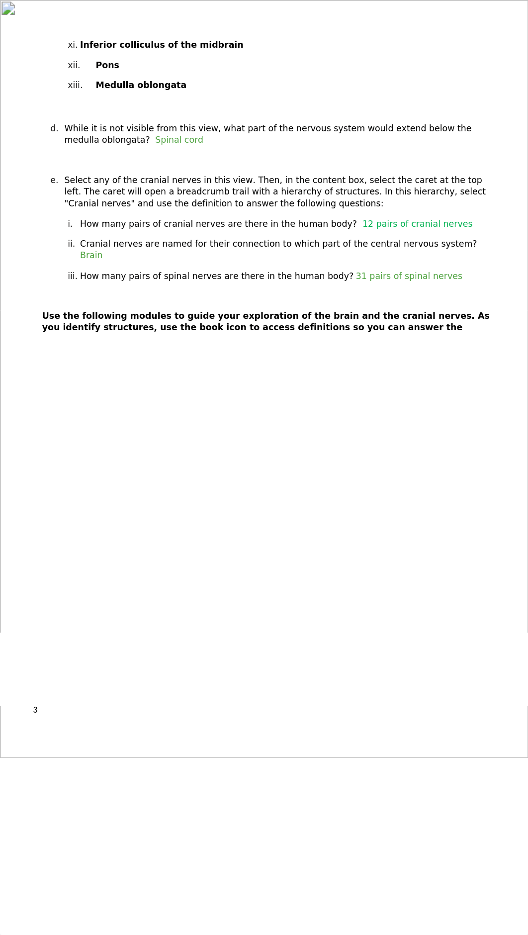 Lab_Material_-_Cranial_Nerves_-_KEY.docx_dhrdmn8rci6_page3