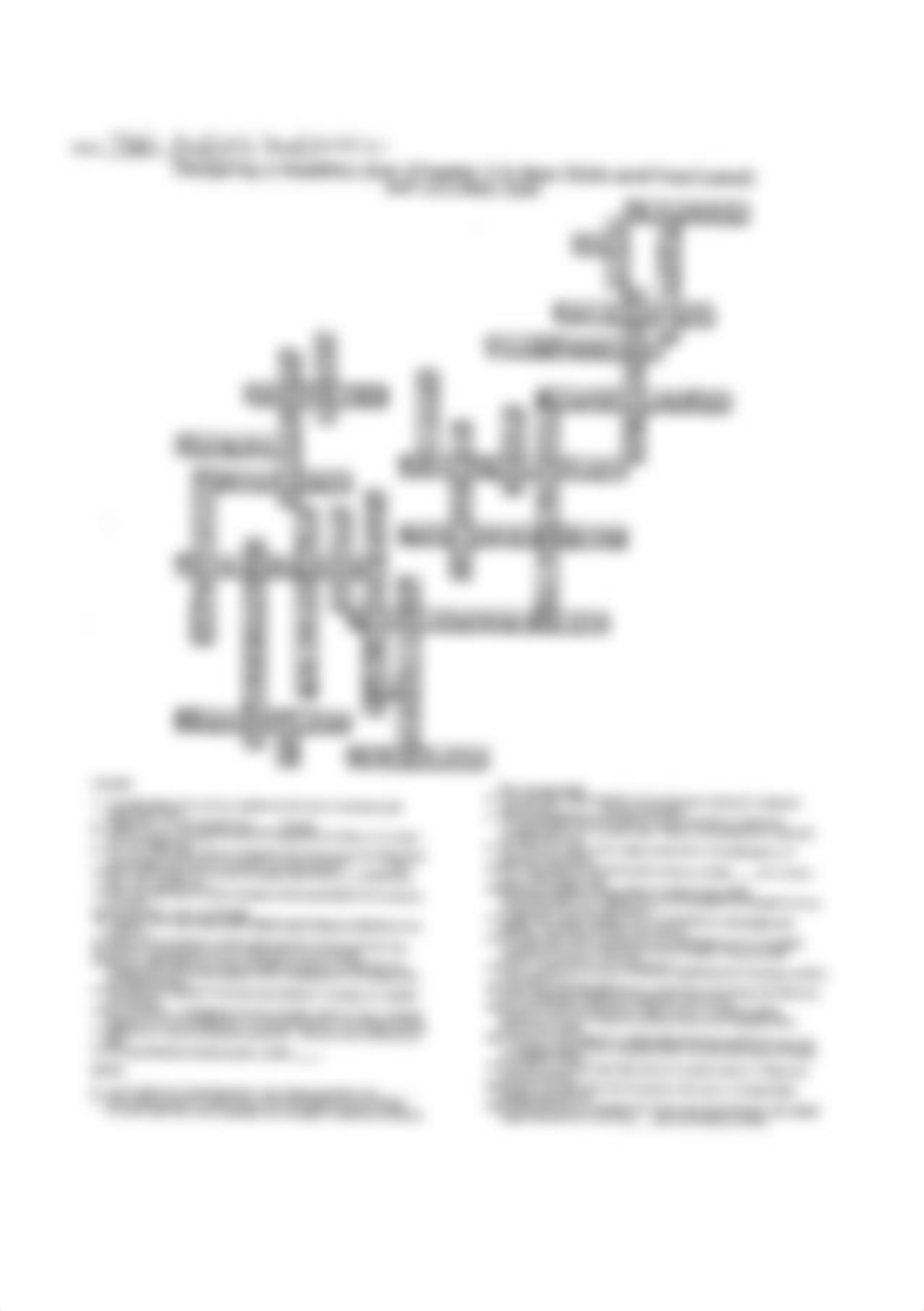 CH.2 Crossword.jpg_dhs6tn1o3q4_page1