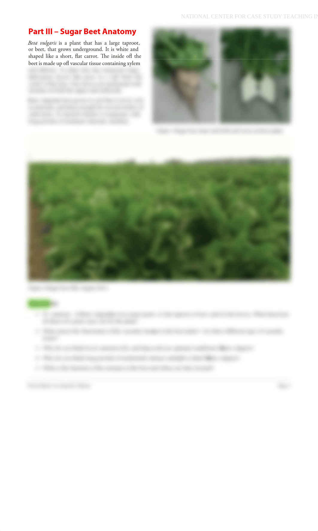 CASE STUDY Sweet Beets Making Sugar Out of Thin Air MY EDITS.pdf_dhs768chkta_page3