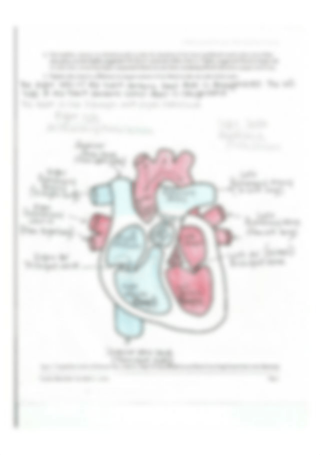 Diagram of heart.jpg_dhskgfowxfl_page1