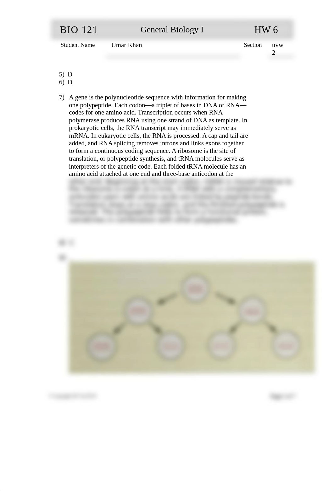 BIO 121 HOMEWORK 06 2019.doc_dhskk7bvstf_page2