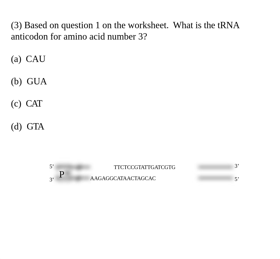 Answers Ch 7 Worksheet Quiz (3).ppt_dhsq13o46bf_page5