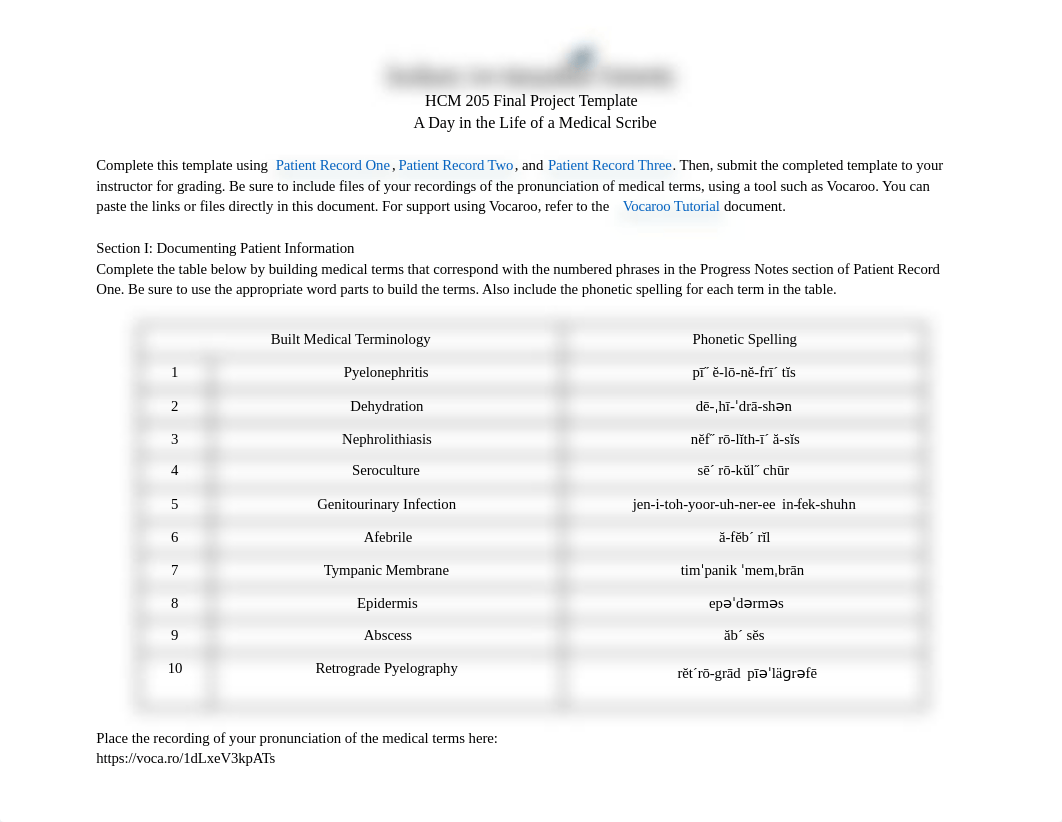 HCM 205 Final Project Template.docx_dhsujucecpx_page1