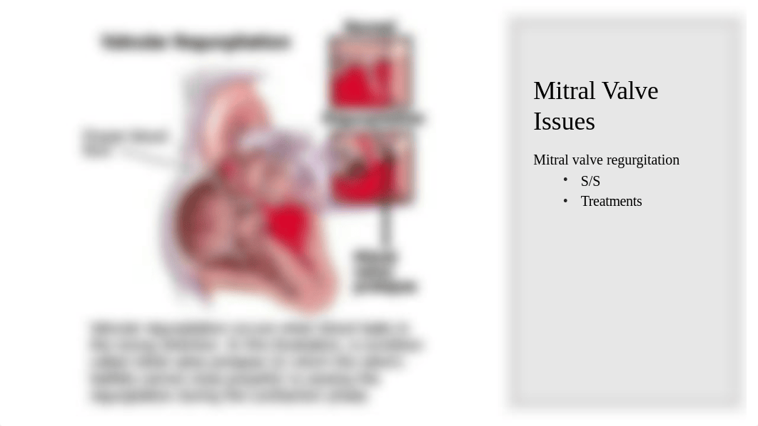 MDC3 Final exam review -student.pptx_dht25evyfa2_page4