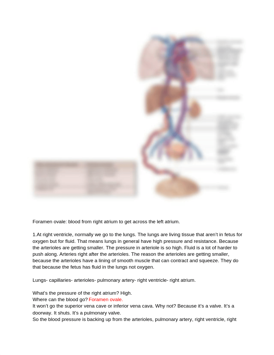 lab exam 02.docx_dht25m2f5qh_page1