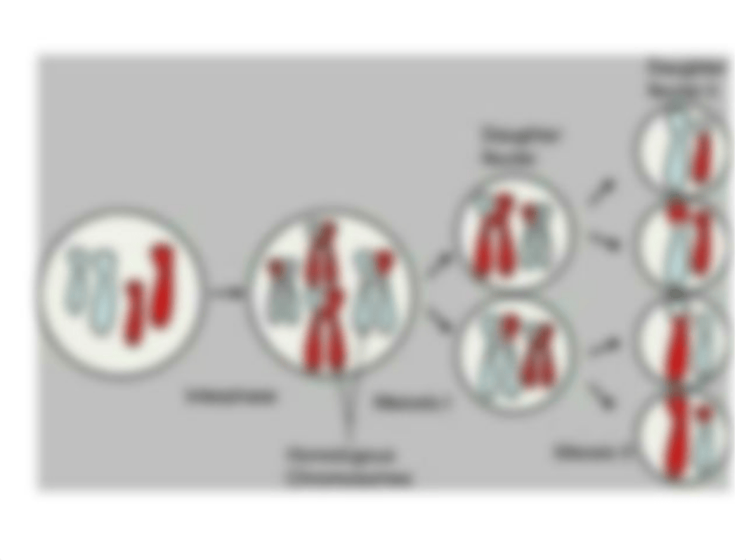 asex_and_sex_reproduction.pptx_dht2fmzq26k_page2