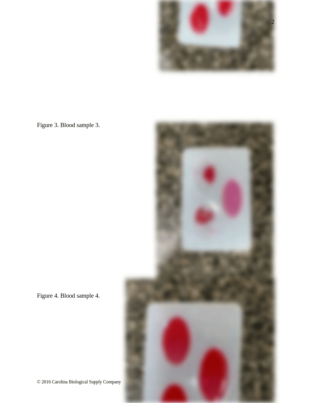 Blood Typing with Simulated Blood.docx_dht5bgusfkq_page3