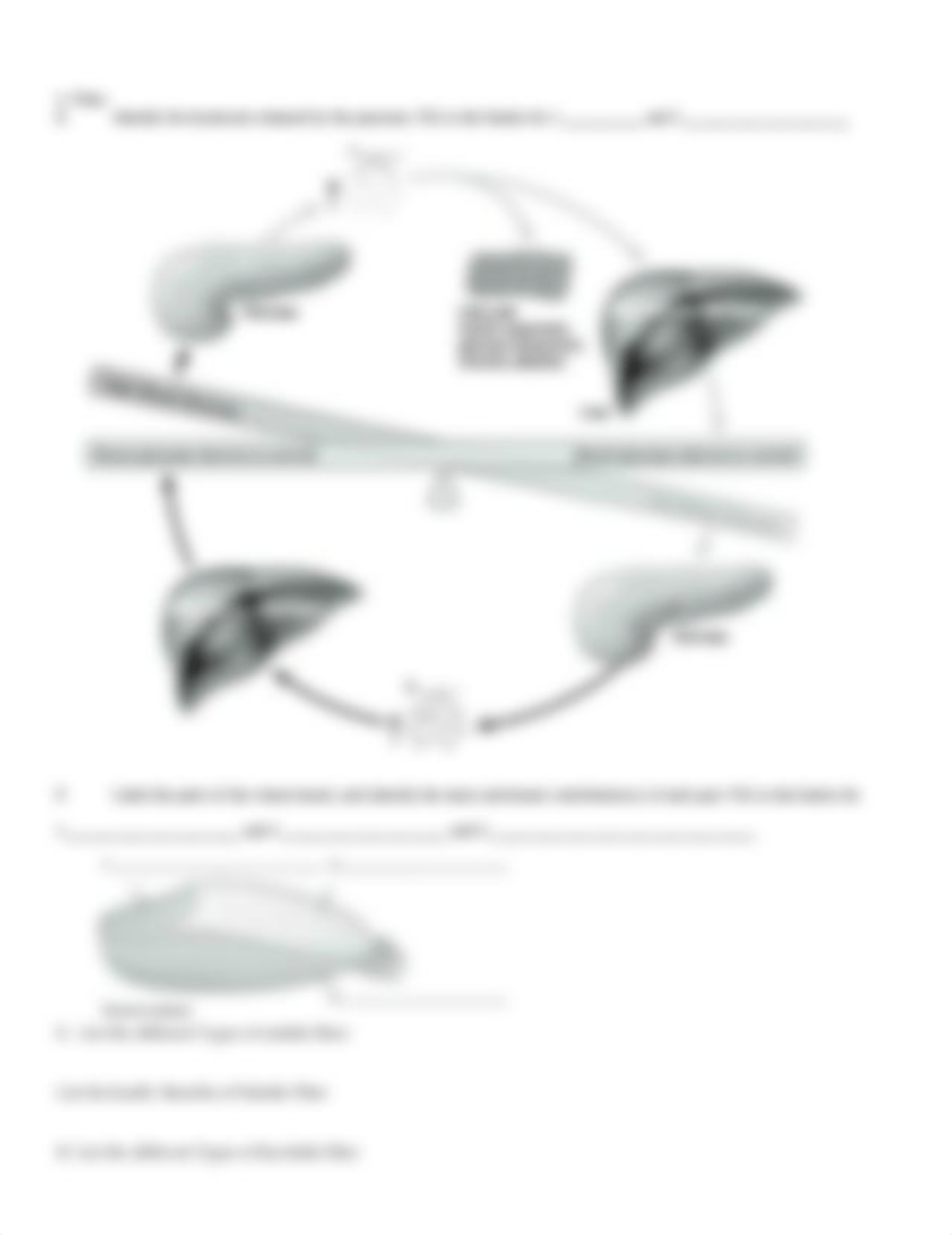 Ch 4 Carbohydrates worksheet (1).docx_dht5v6z0ev8_page2