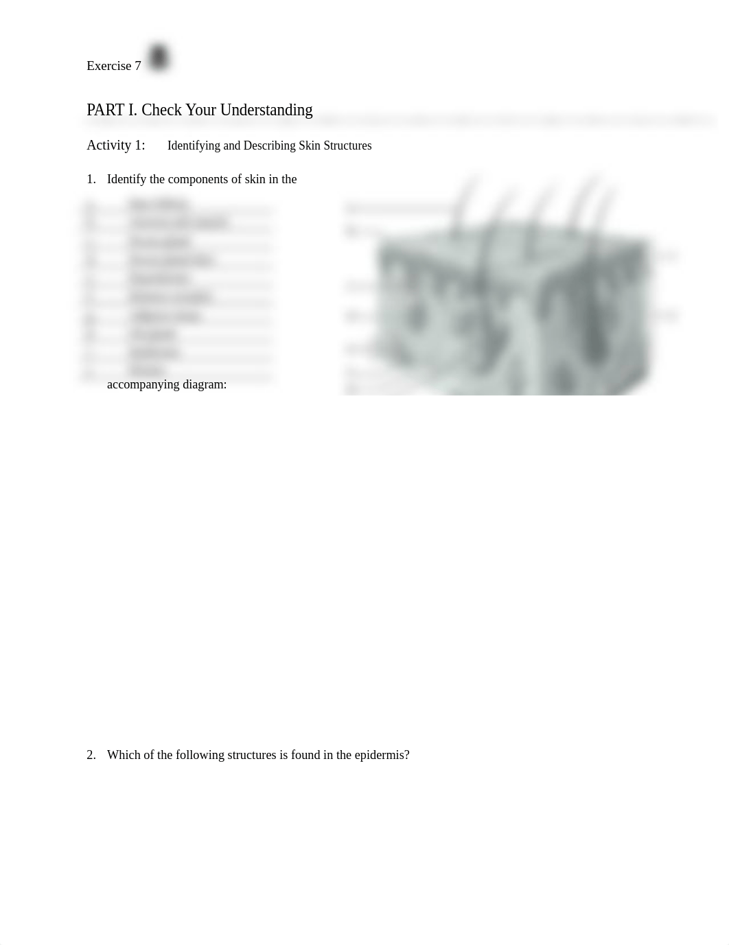 unit4exercise7.docx_dht6qewdq2w_page1