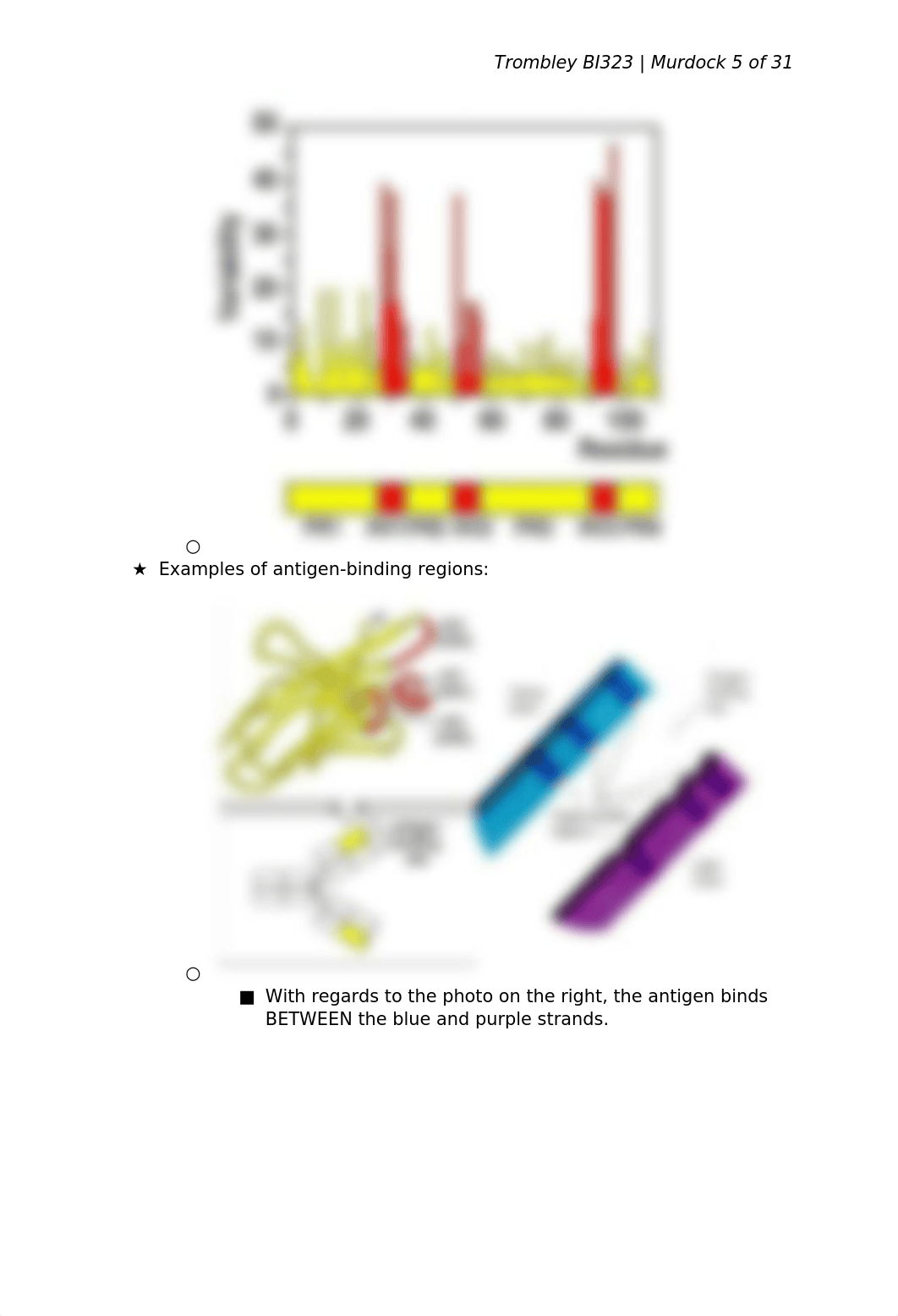 6. Immunoglobulins and the Complement System.docx_dht6rc15zay_page5