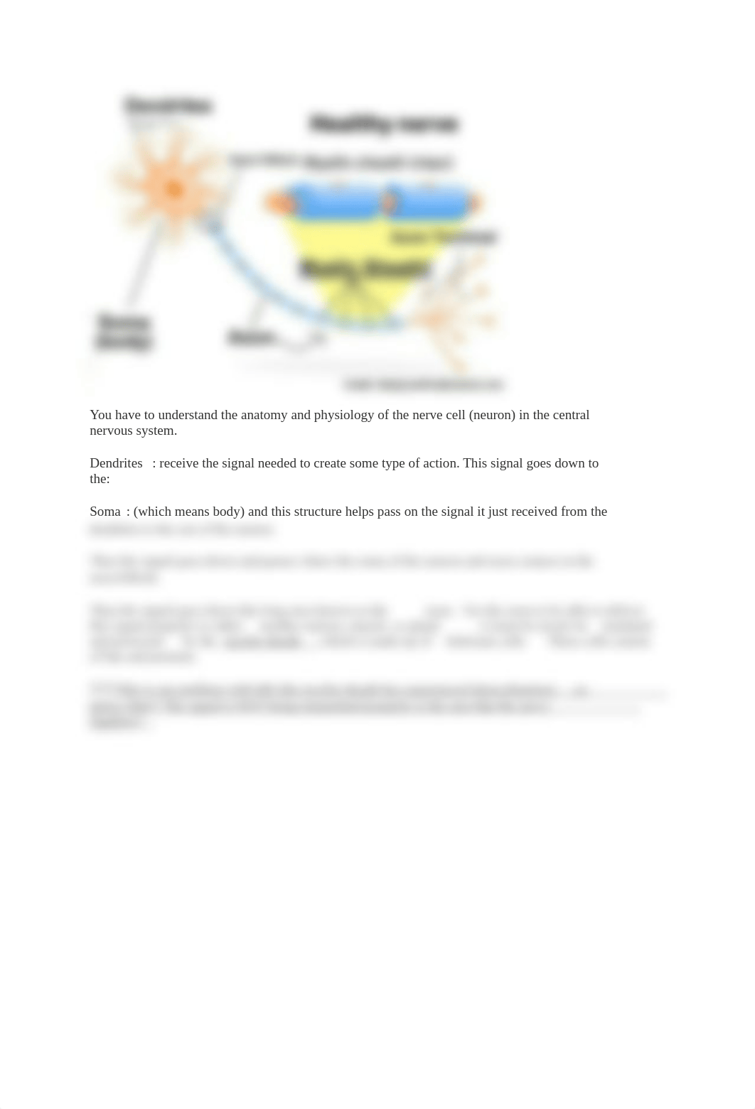 Multiple_Sclerosis_NCLEX_Review_dht7tpo7rcq_page2