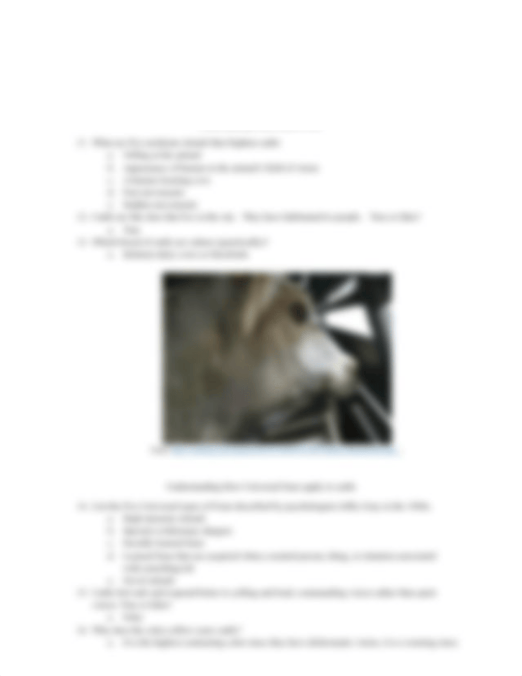 Completed cows. ANIAMLS MAKE US HUMAN Chapter 5 - Cows.docx_dhtadd9hpf0_page3