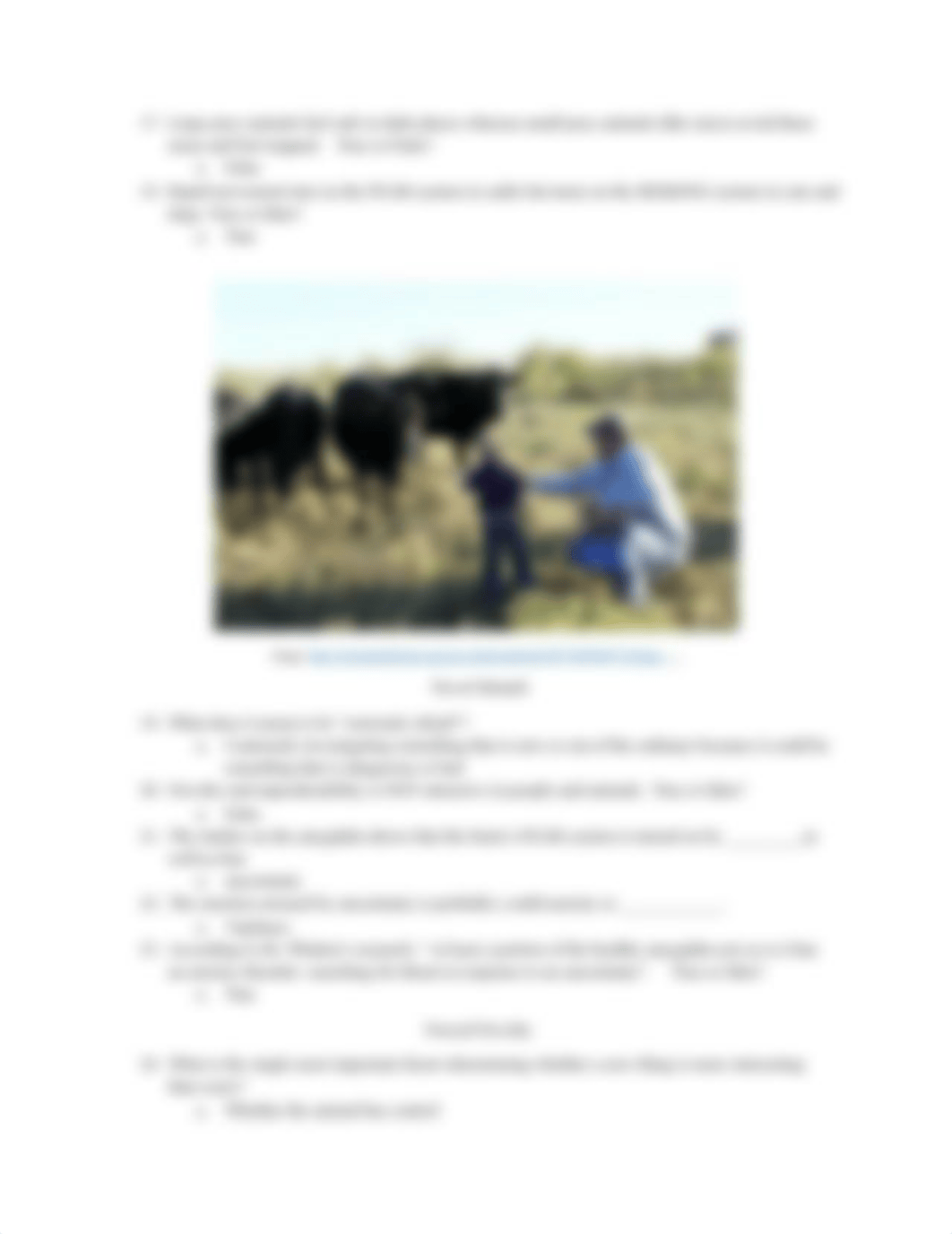 Completed cows. ANIAMLS MAKE US HUMAN Chapter 5 - Cows.docx_dhtadd9hpf0_page4