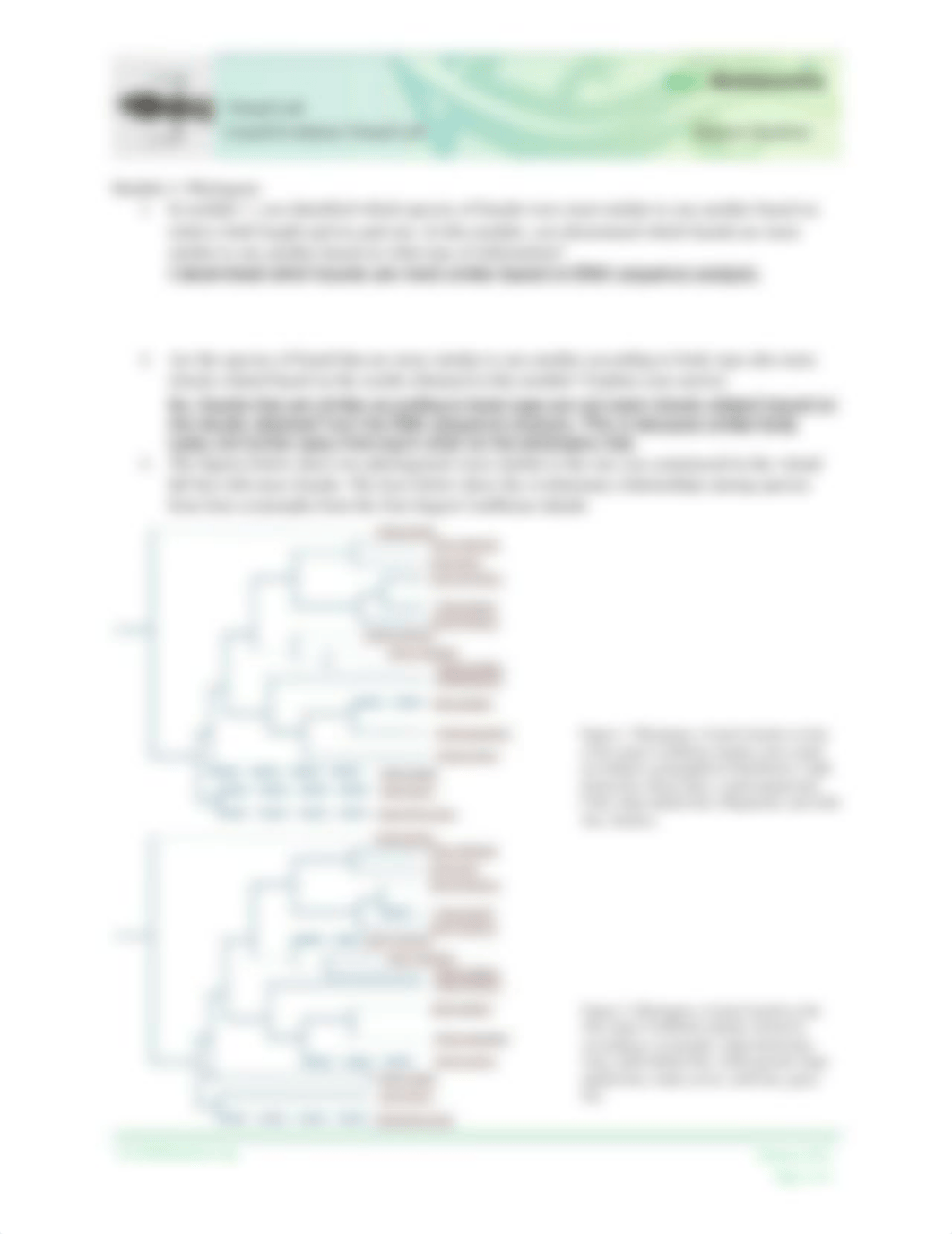 Lizard-Evolution-Virtual-Lab-Student-Worksheet.pdf_dhtdzlzc43b_page2