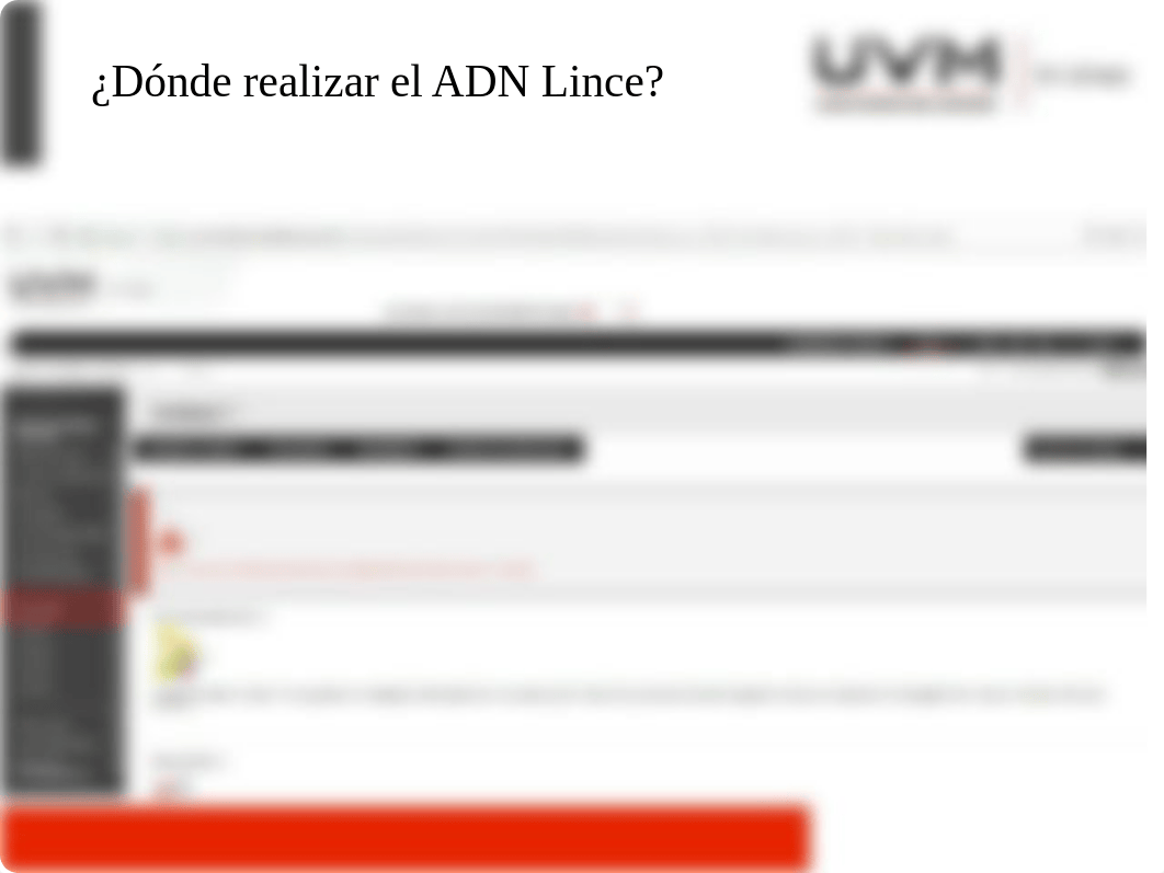 001_ADN_Lince.pdf_dhtl3ri7mi1_page2