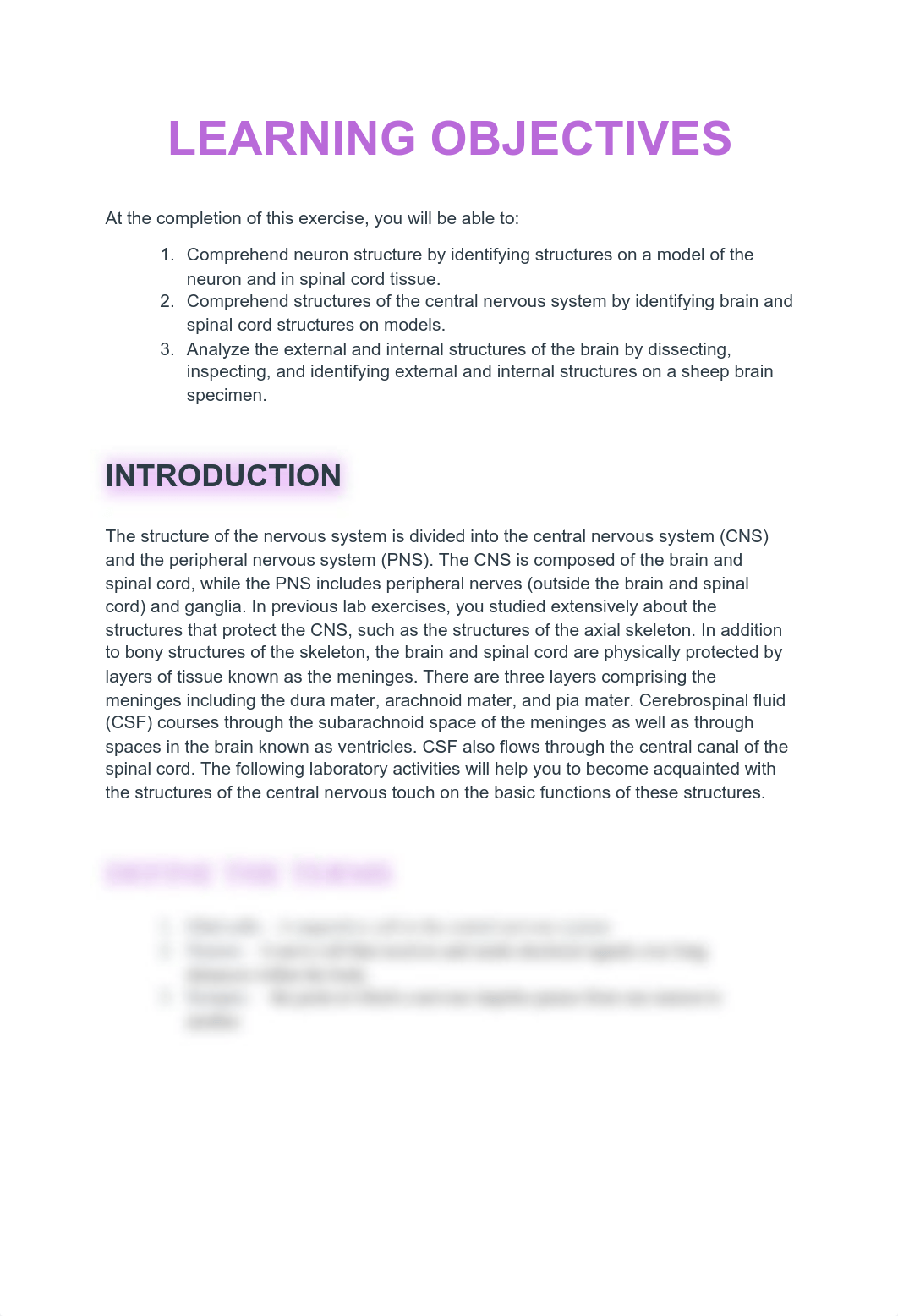 Lab Activity 10 CNS Submission.pdf_dhtlnj5wnk1_page1