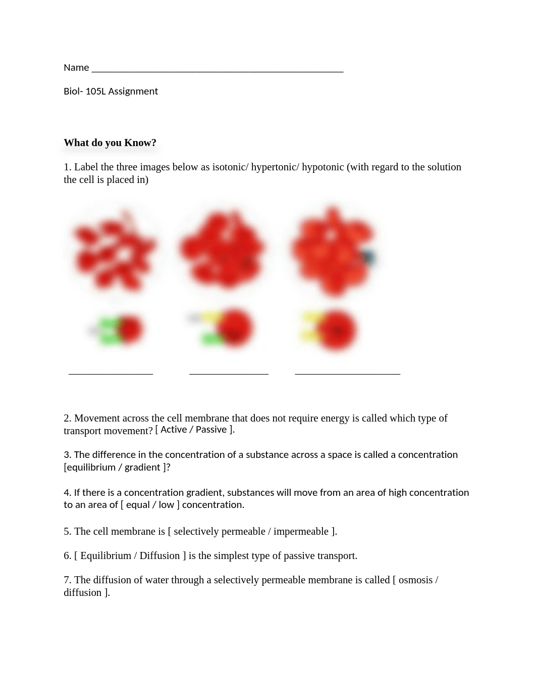 Osmosis Diffusion Lab (1).doc_dhtohx1ab6x_page1