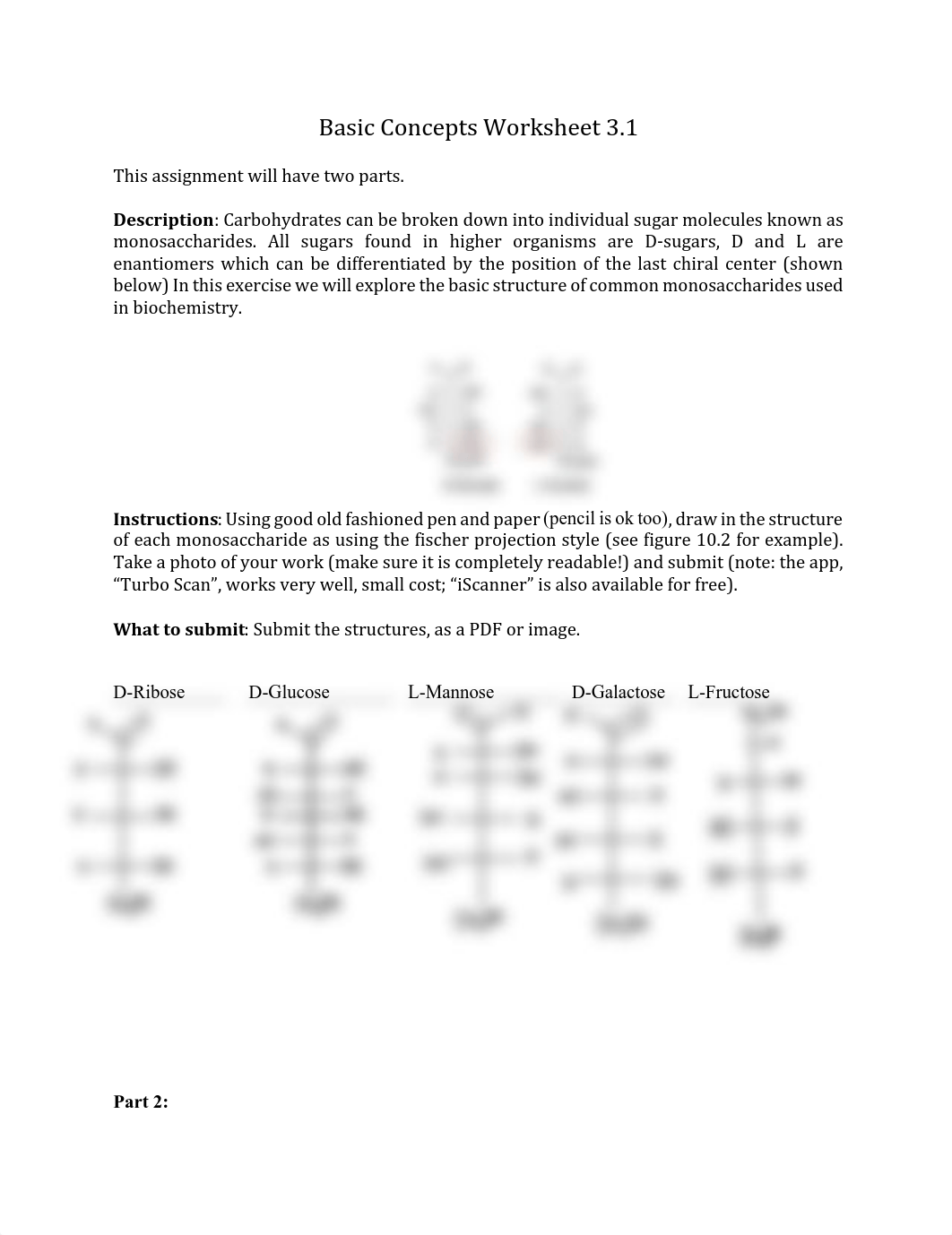 Basic concept Worksheet 3.1.pdf_dhu02u1ynk8_page1