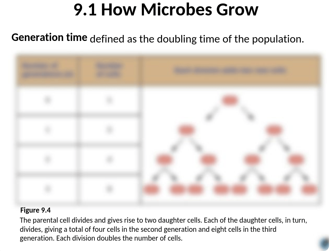 Lesson 2_SLIDES(1).pptx_dhugyetmp1f_page4