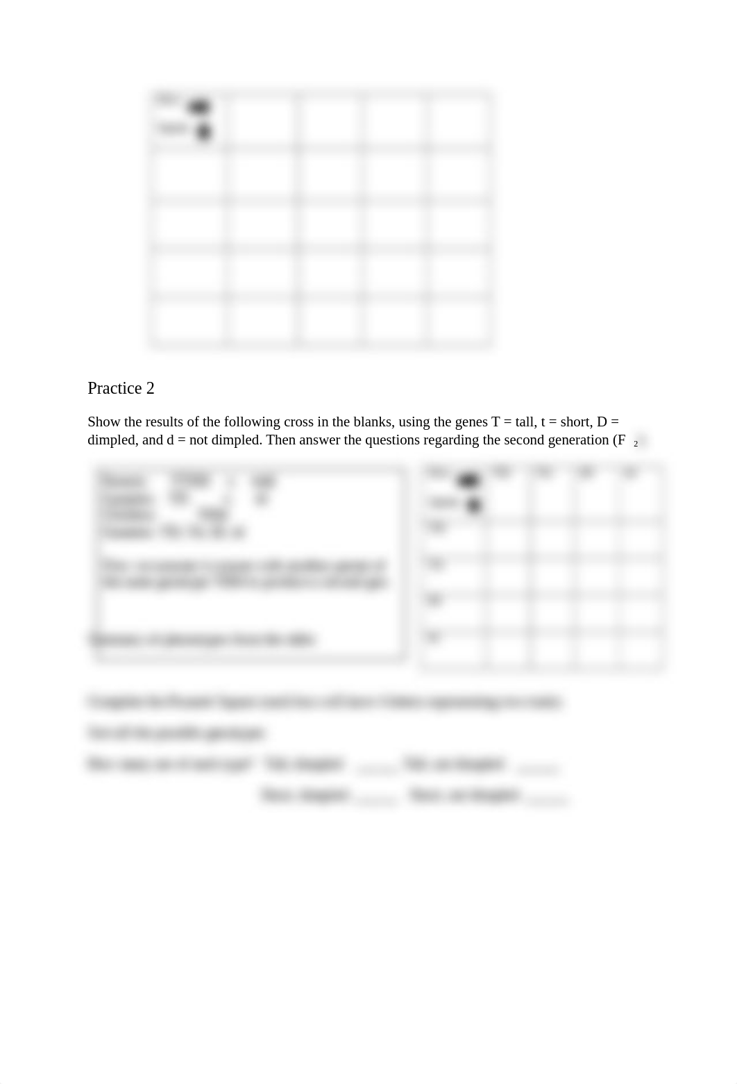 Module 5 Activity 2 Two Gene Complete Dominance Crosses-1.docx_dhujoan5nfw_page2