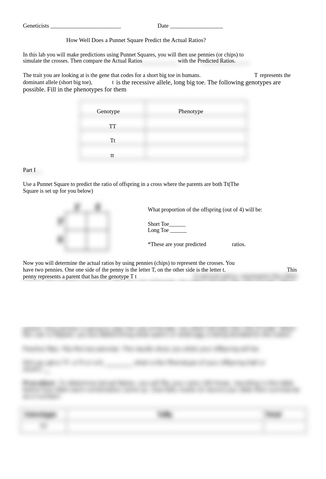 how well does a punnet square predict the actual ratios.doc_dhun0yhippf_page1