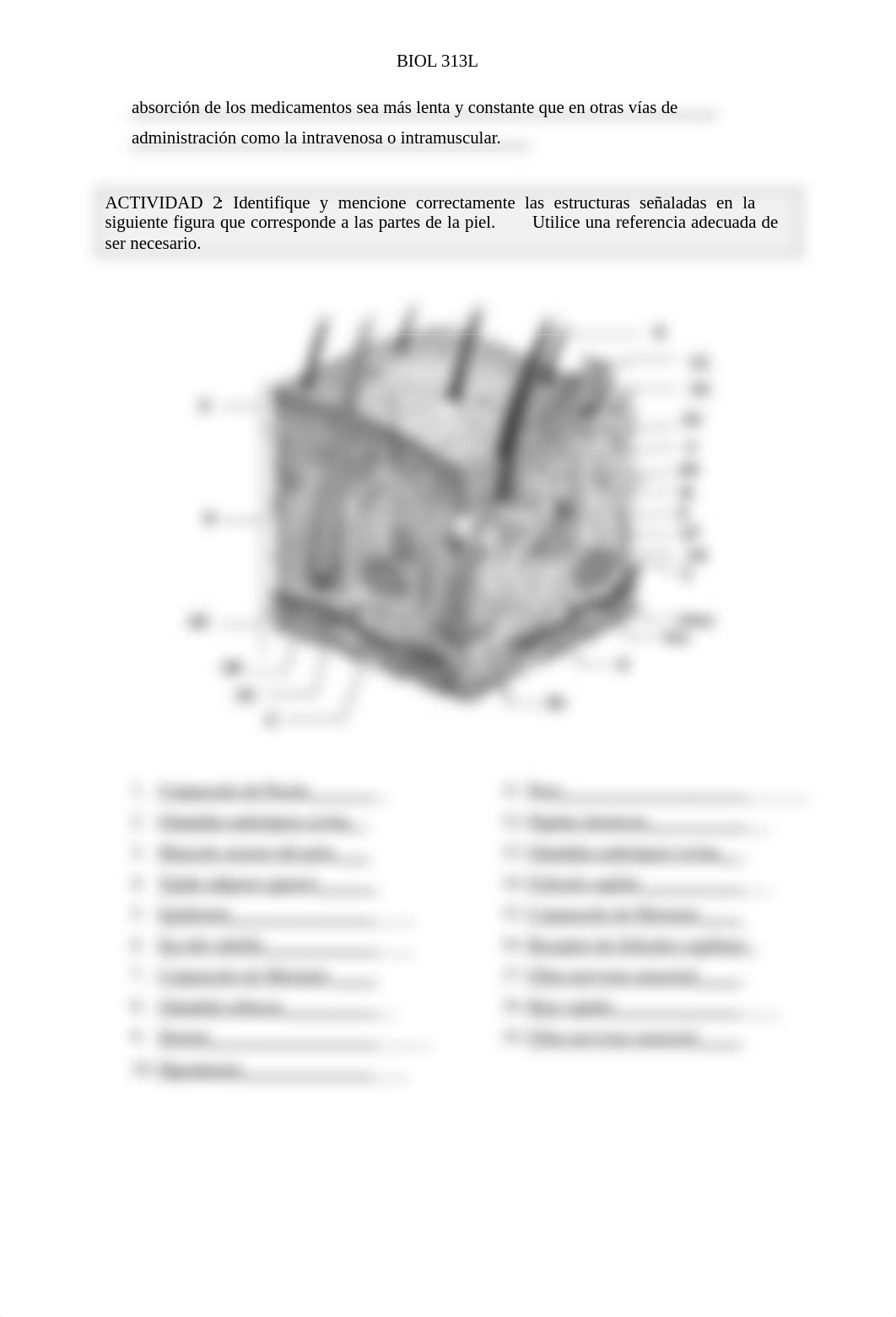 Informe LAB 4 Sistema Tegumentario .pdf_dhuqbw906u3_page2