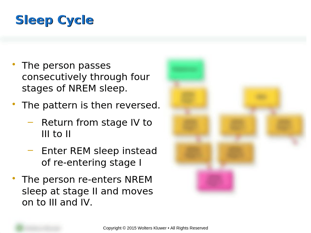 PPT_Chapter_33 - Student Copy.pptx_dhuqlbe3mj7_page5