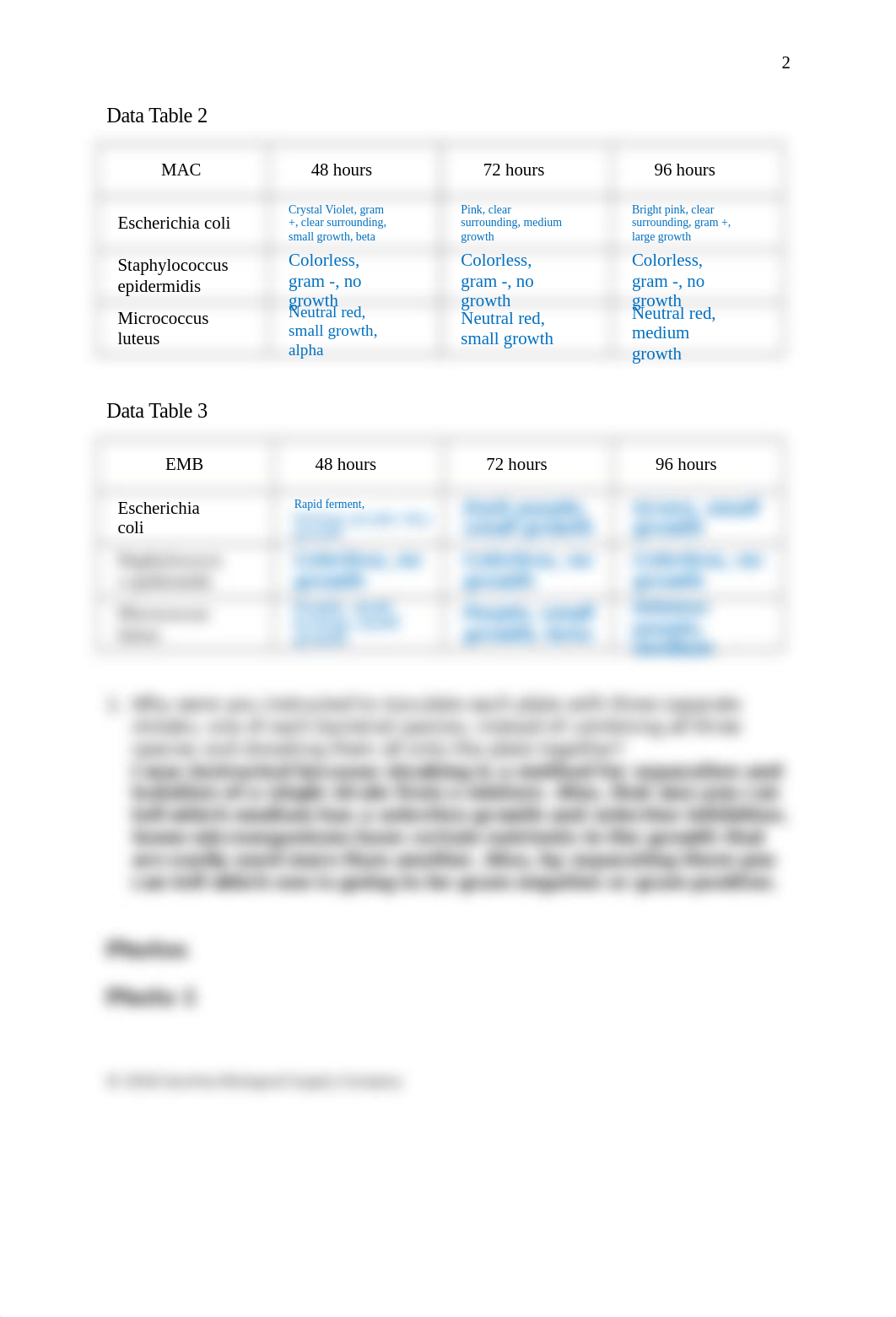 Use of Selective and Diffl Media-Kaci Turbeville.docx_dhuwxdmnuvi_page3