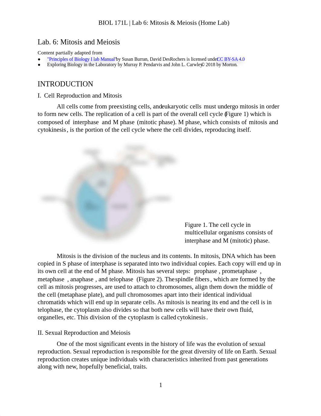 Lab 6 - Mitosis and meiosis (Home Lab) (1).pdf_dhv0v7499yg_page1