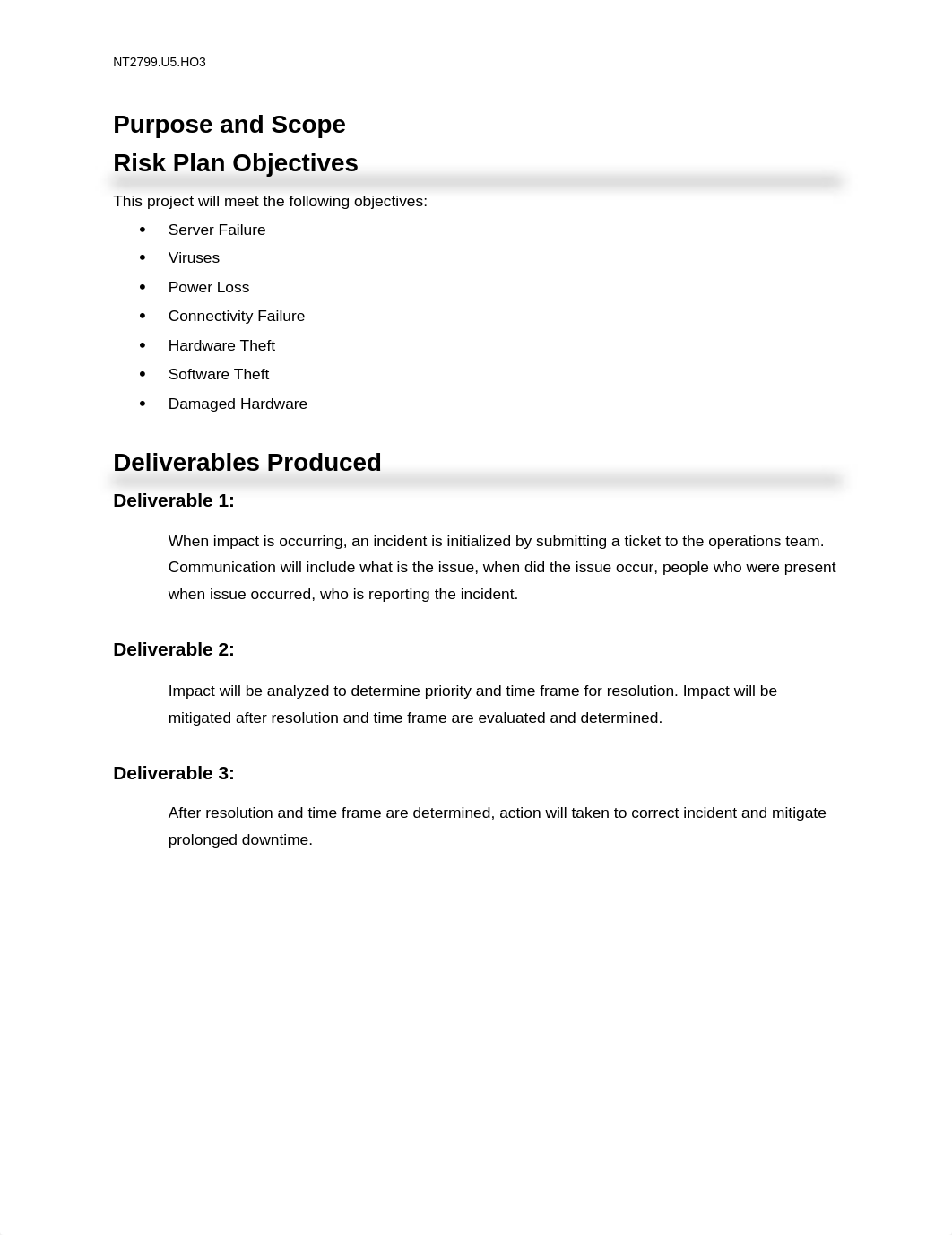 Risk managment plan_dhv1t4c1ksc_page3