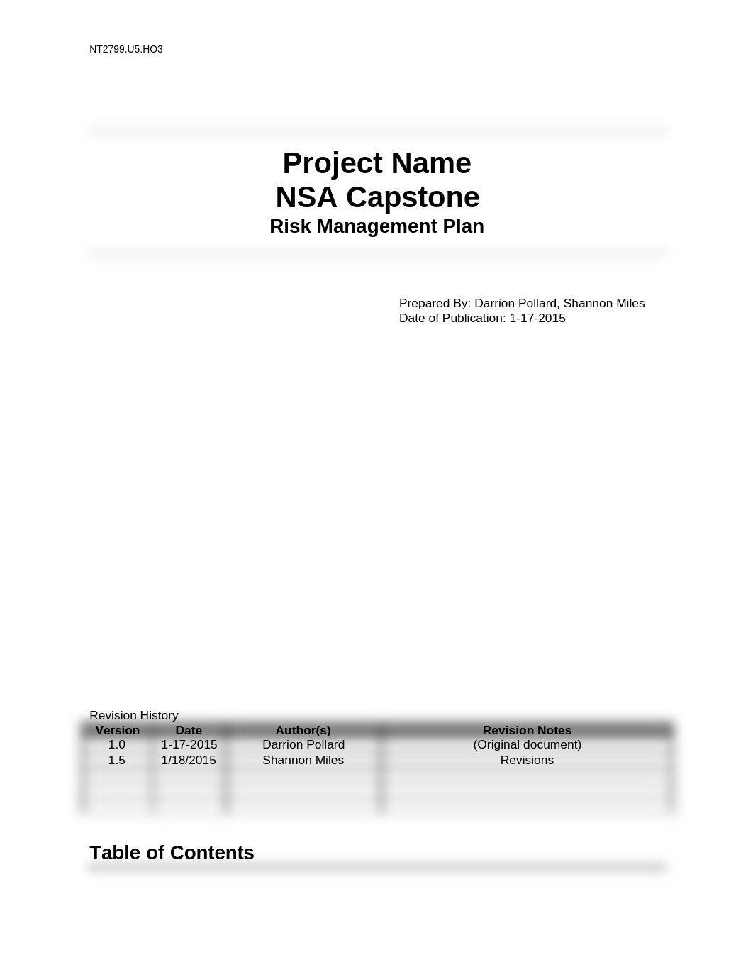 Risk managment plan_dhv1t4c1ksc_page1