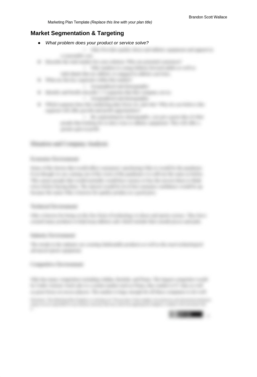 BrandonWallace_MarketingPlanTemplateforMKTPlanModule (2) (1).docx_dhv2y45pijm_page3