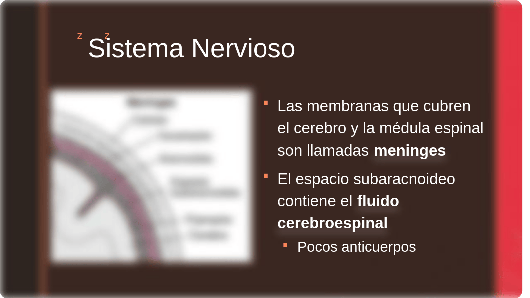 8. Enfermedades Microbianas Nervioso y Cardiovascular.pptx_dhv5yqlnfh0_page3