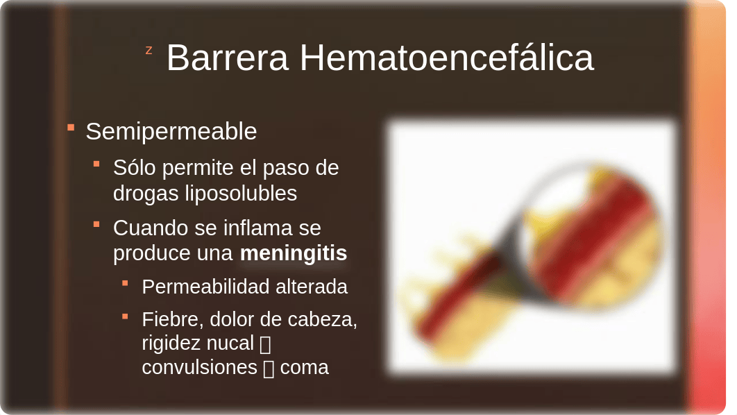 8. Enfermedades Microbianas Nervioso y Cardiovascular.pptx_dhv5yqlnfh0_page4