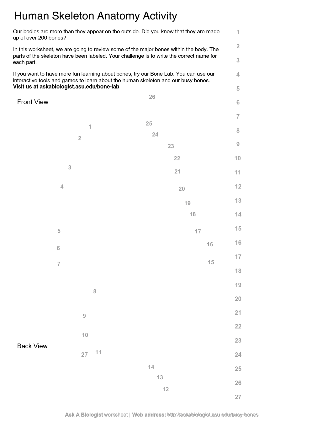 Kami_Export_-_Samara_Garcia_-_Skeleton_worksheet.pdf_dhvd6p70uao_page1