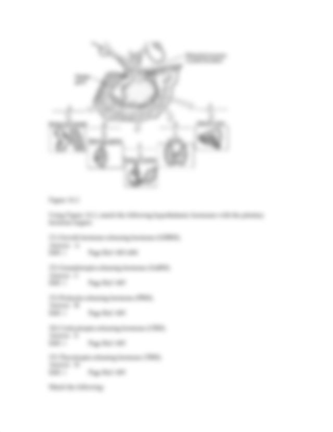 ap-ii-exam-1-answers_dhvfjh028ru_page4