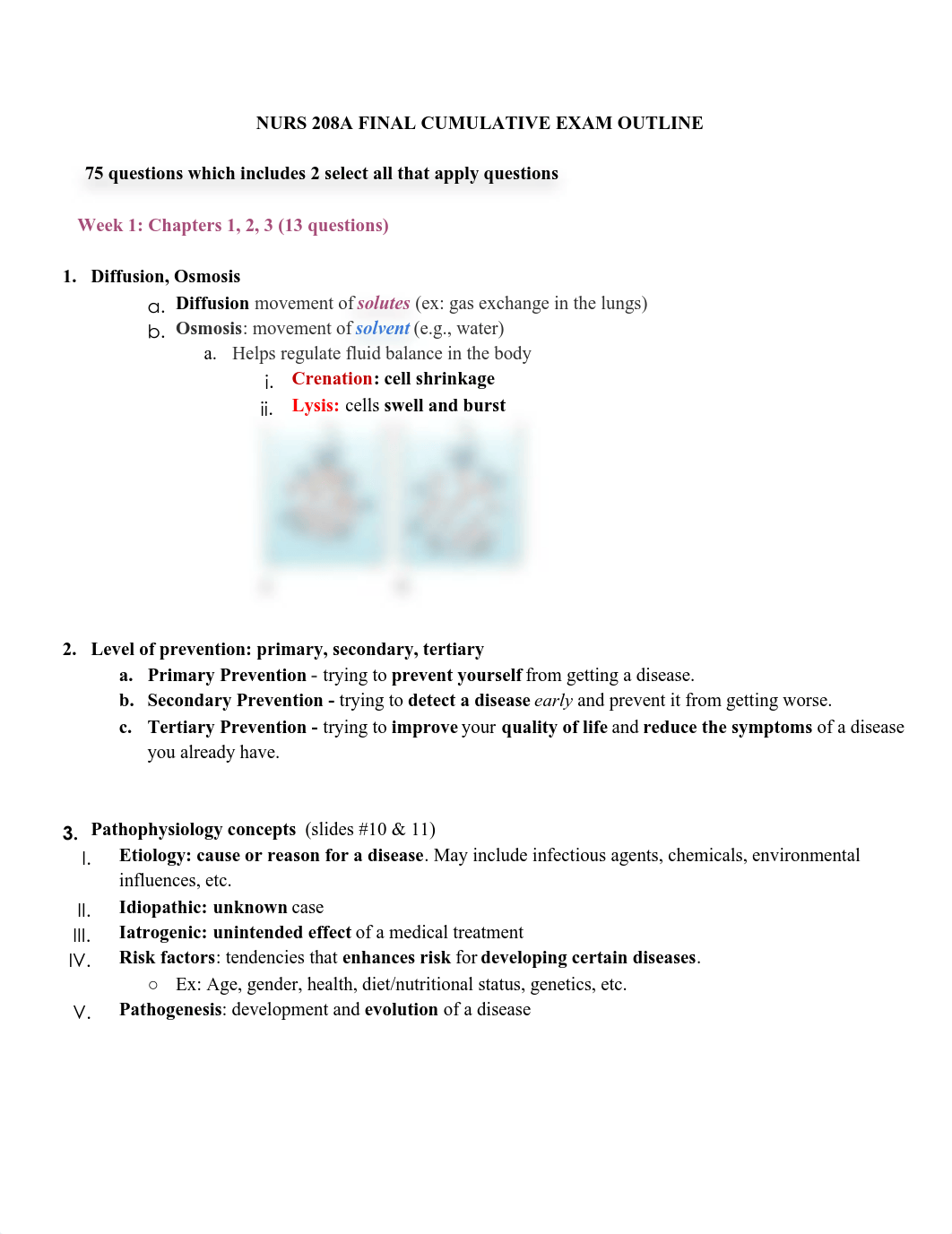 NURS 208A FINAL.pdf_dhvgvlx304e_page1