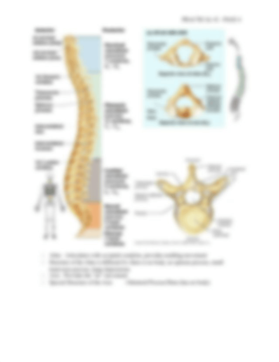 ANATOMY AND PHYSIOLOGY I_dhvj257pmy5_page4