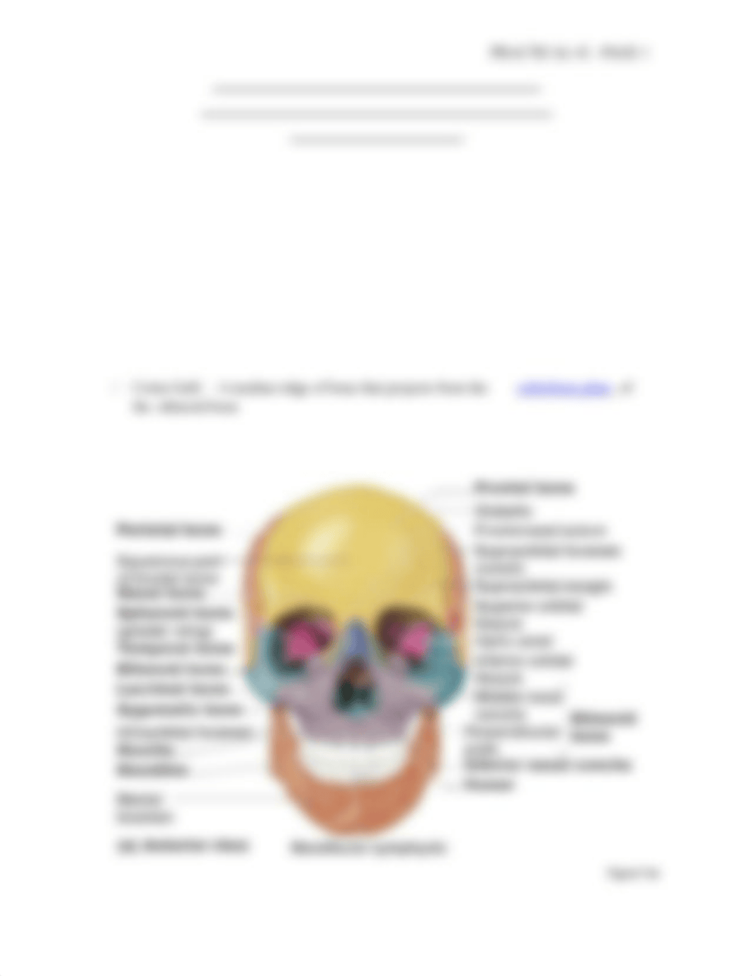 ANATOMY AND PHYSIOLOGY I_dhvj257pmy5_page1