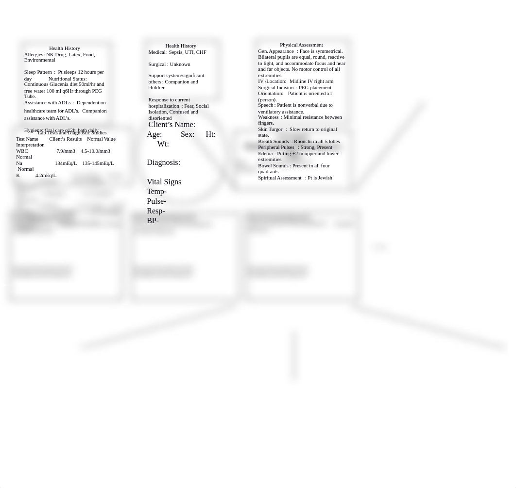 M.R. Concept Care Map_dhvju5aa7cj_page3