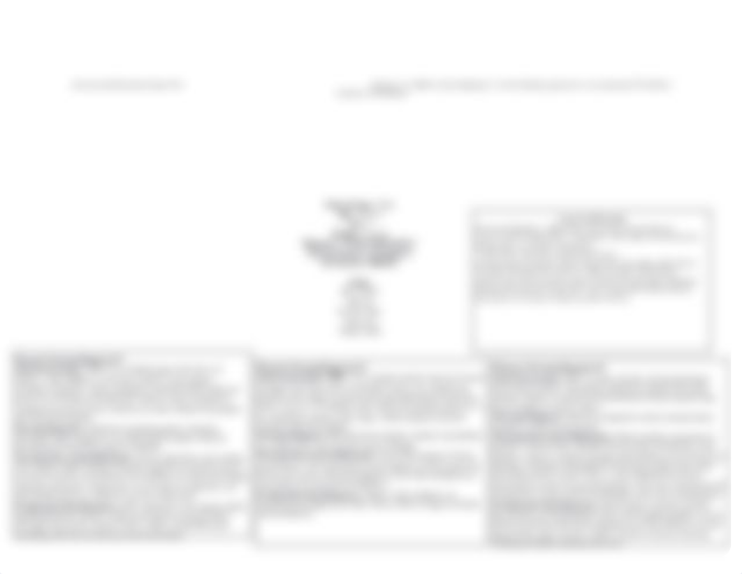 M.R. Concept Care Map_dhvju5aa7cj_page4