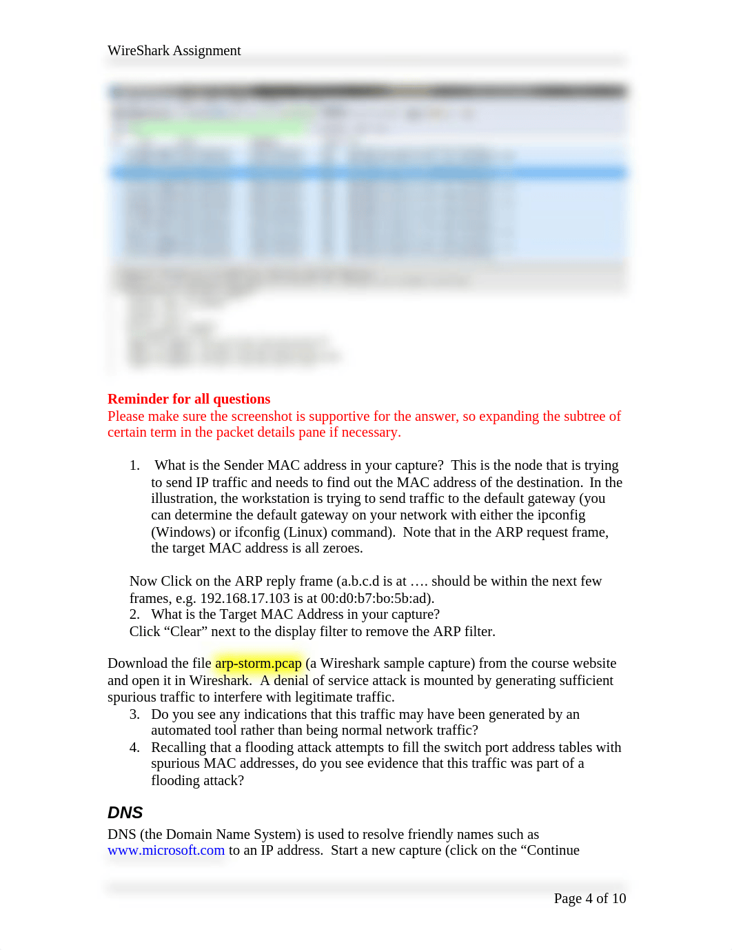 WireShark Assignment (1).docx_dhvkld7agur_page4