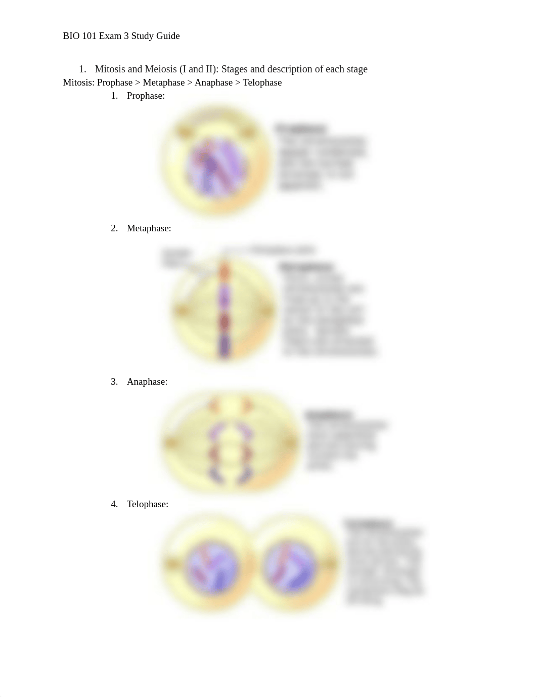 BIO 101 Exam 3 Study Guide.pdf_dhvn06c5mn4_page1