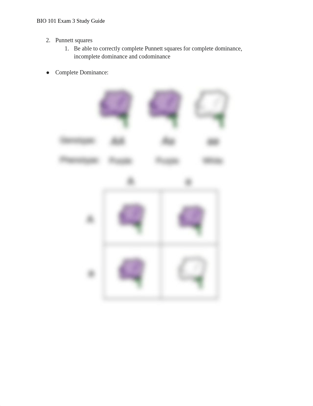 BIO 101 Exam 3 Study Guide.pdf_dhvn06c5mn4_page4