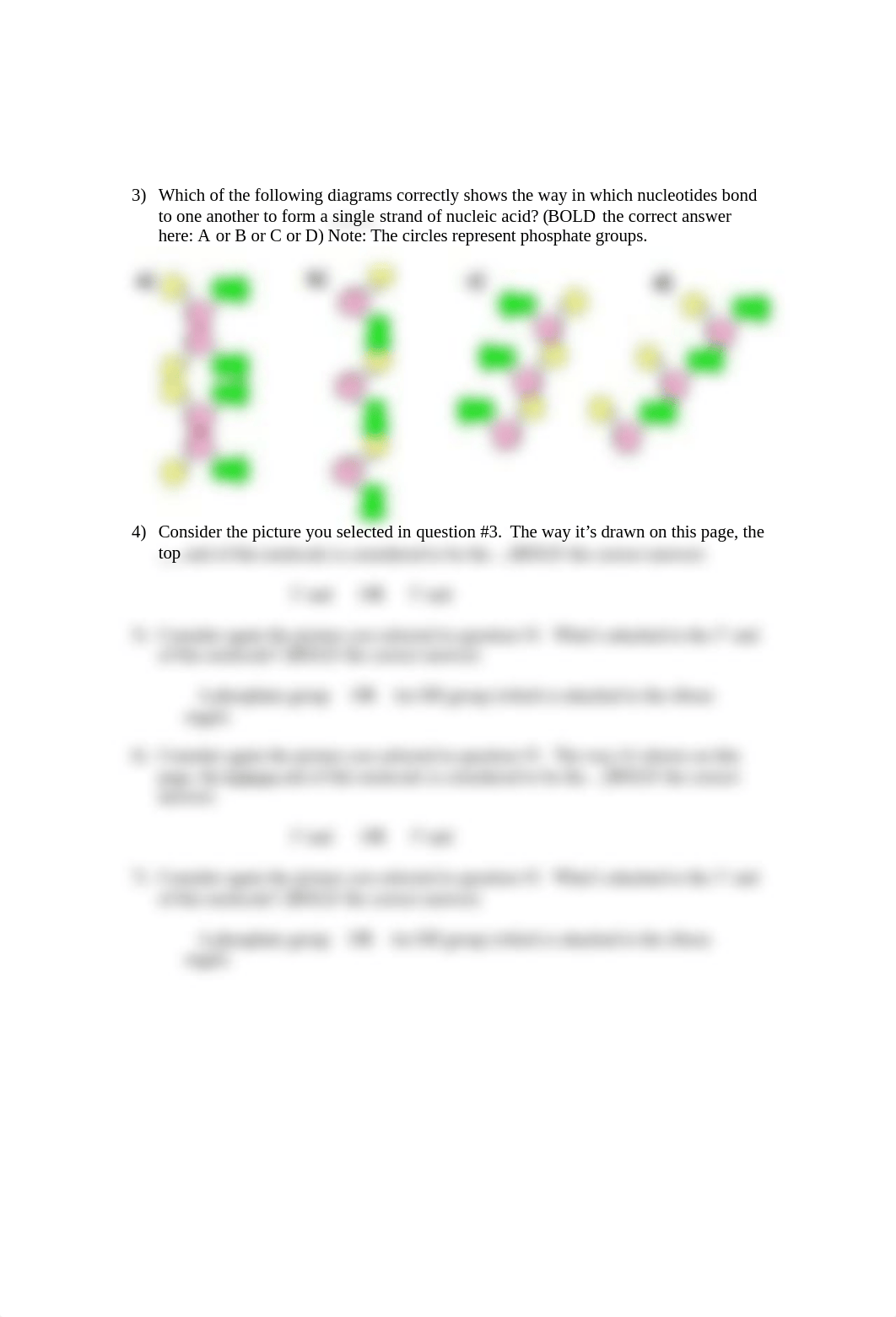 Biology 211 Homework#7 DNA replication.docx_dhvs76k9l5o_page2