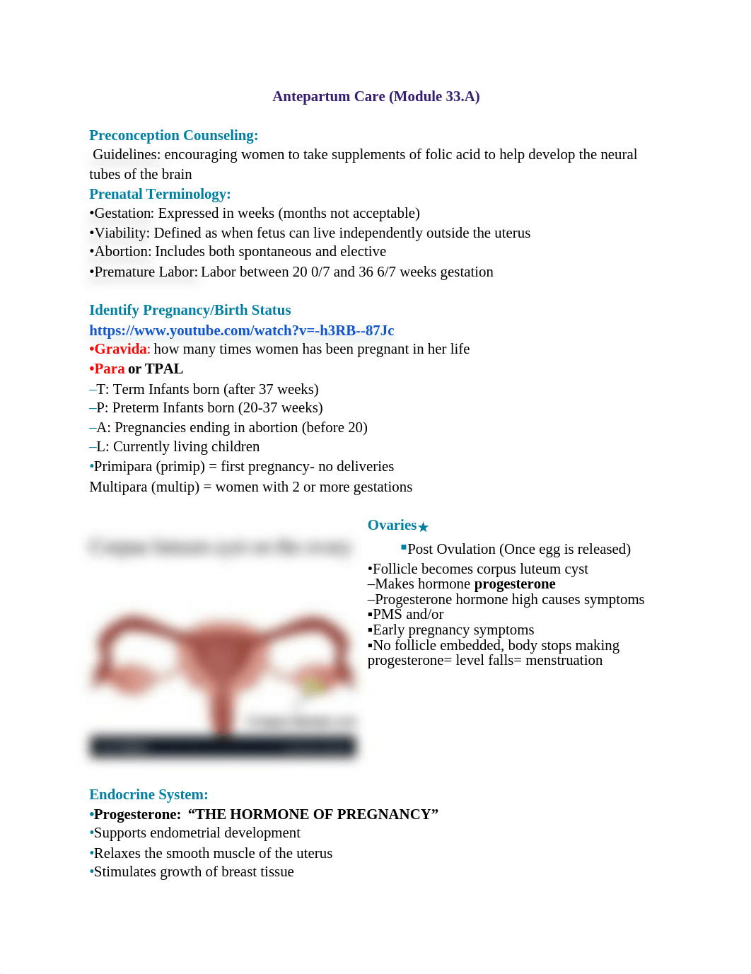 Antepartum Care (Module 33.A).docx_dhvwee9h8pw_page1