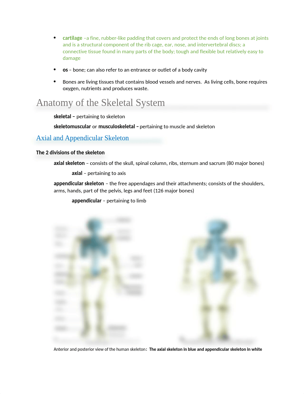 CH 8 - SKELETAL SYSTEM - HTLH 110-3.docx_dhw3i3vhq83_page2