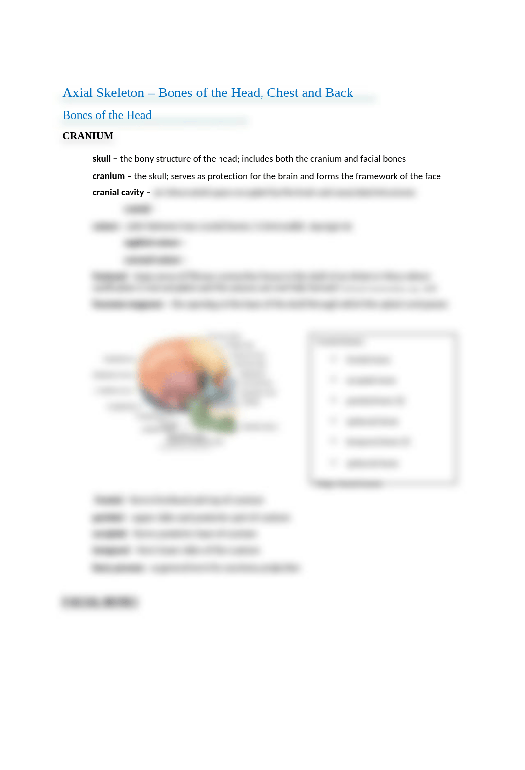 CH 8 - SKELETAL SYSTEM - HTLH 110-3.docx_dhw3i3vhq83_page3