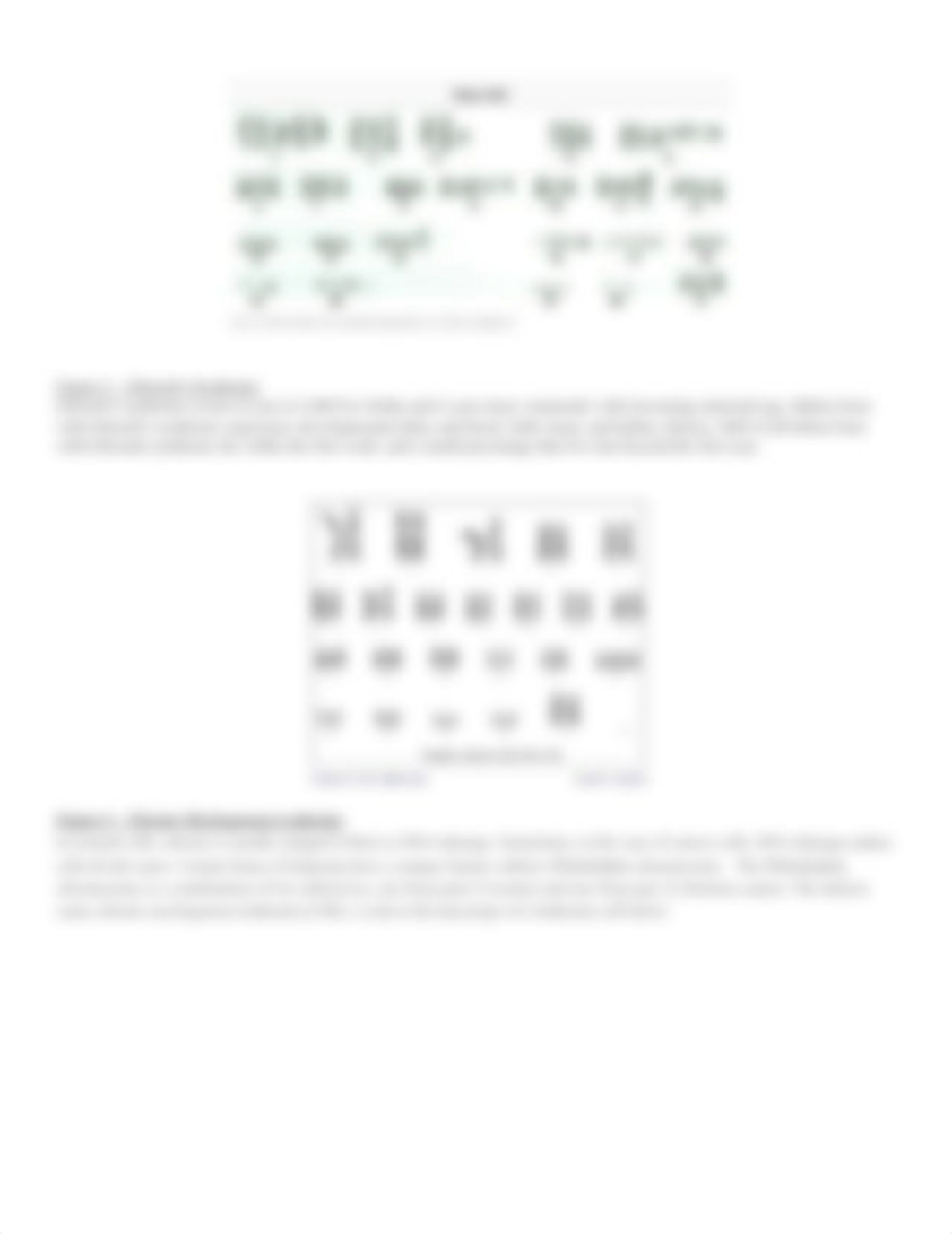 05_01_mitosis_meiosis_activity_worksheet.doc_dhw5fed3bic_page3