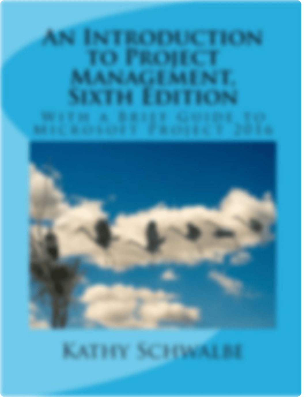 An Introduction to Project Management, Sixth Edition- With a Brief Guide to Microsoft Project 2016 b_dhw6l1njvho_page1